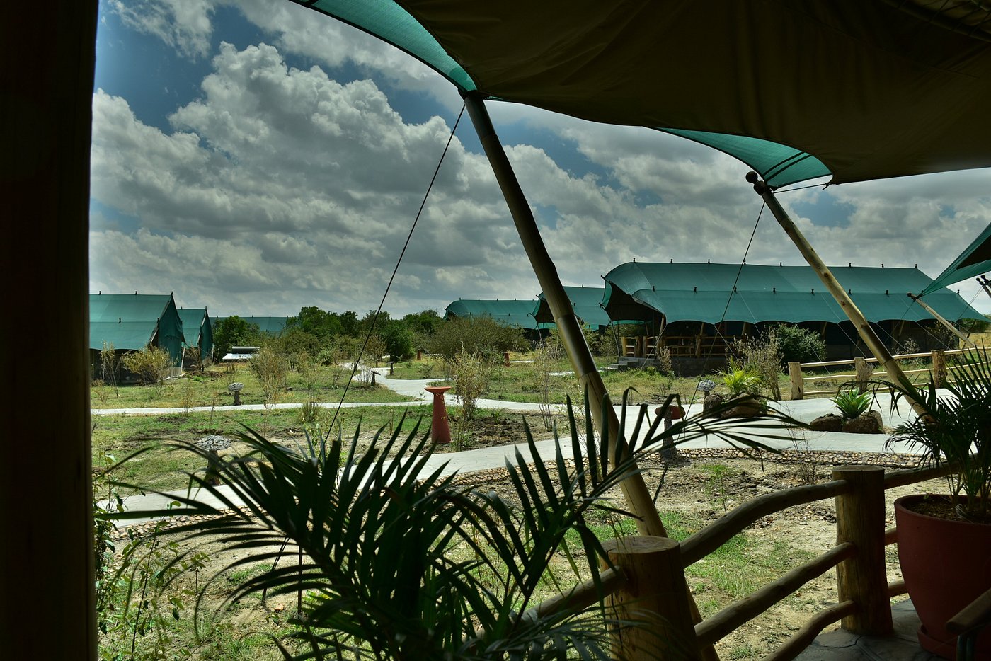 Mara Maisha Camp image 3
