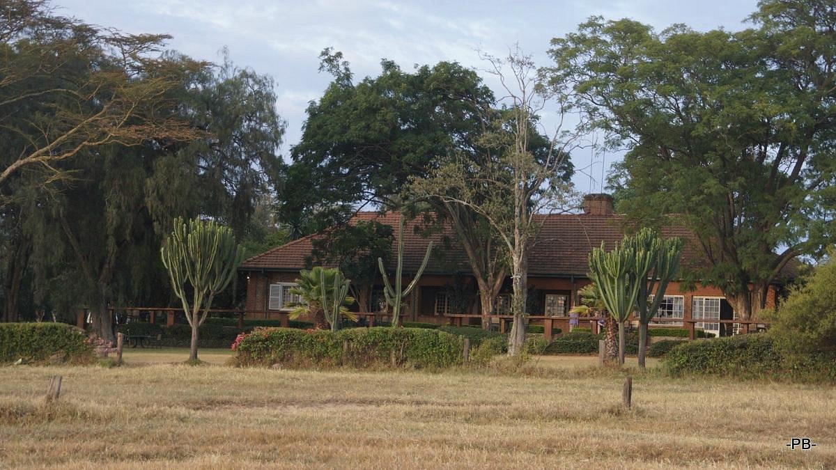 Jacaranda Lake Elementaita Lodge image 3