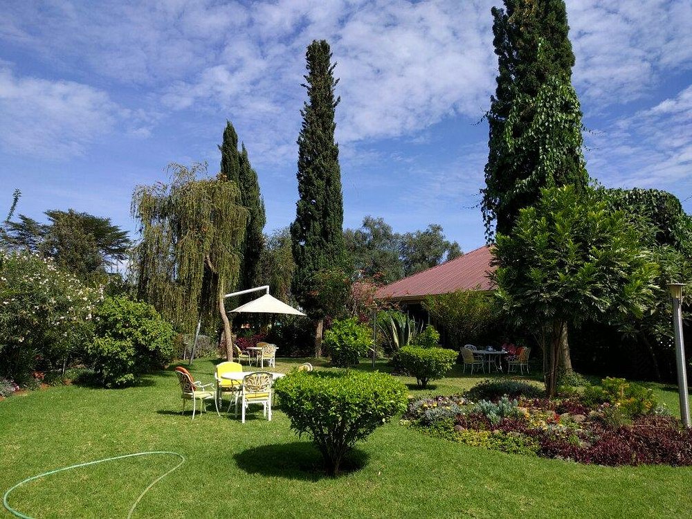 Falcon Heights Hotel image 2