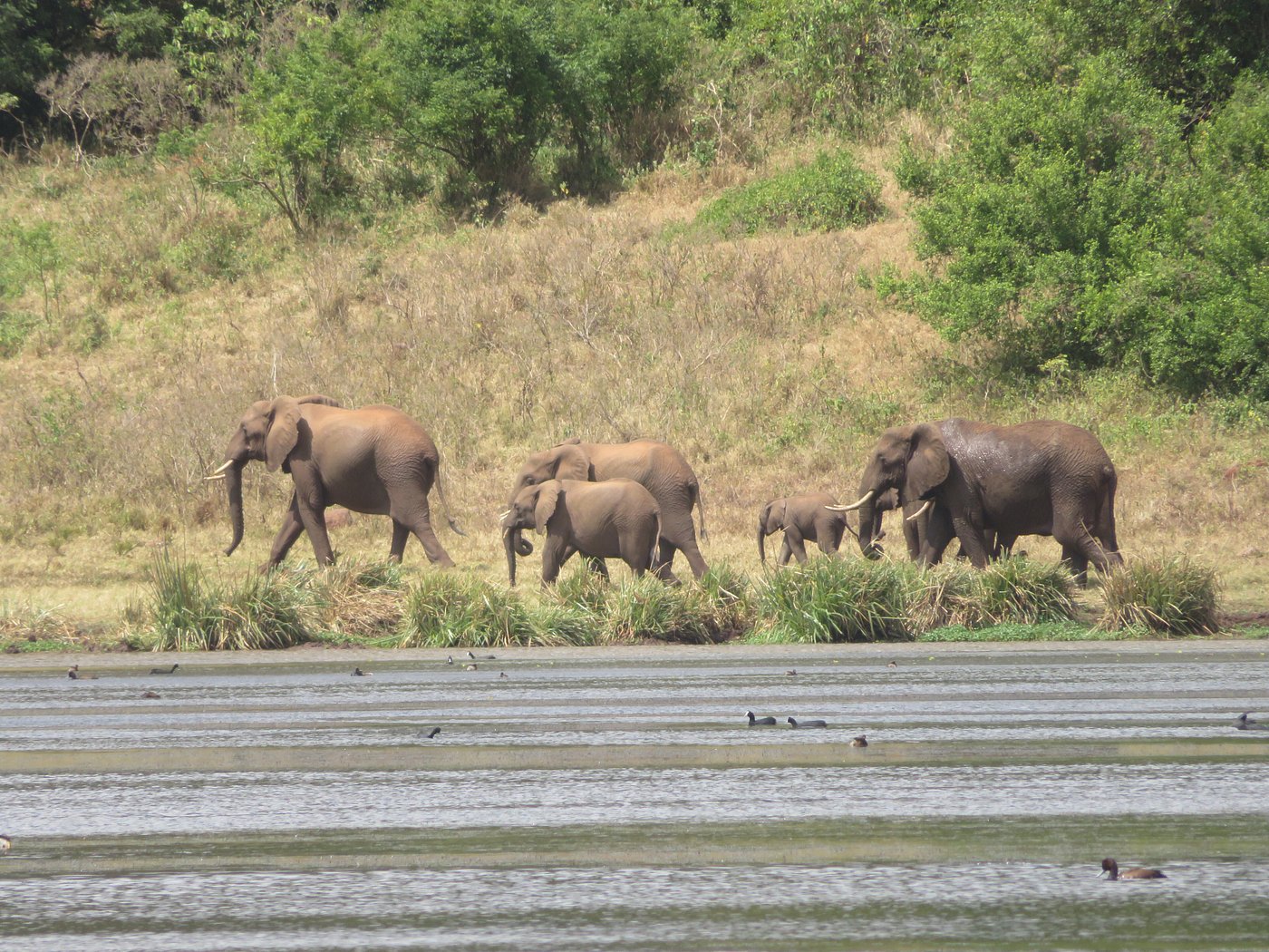 Marsabit National Park image 7