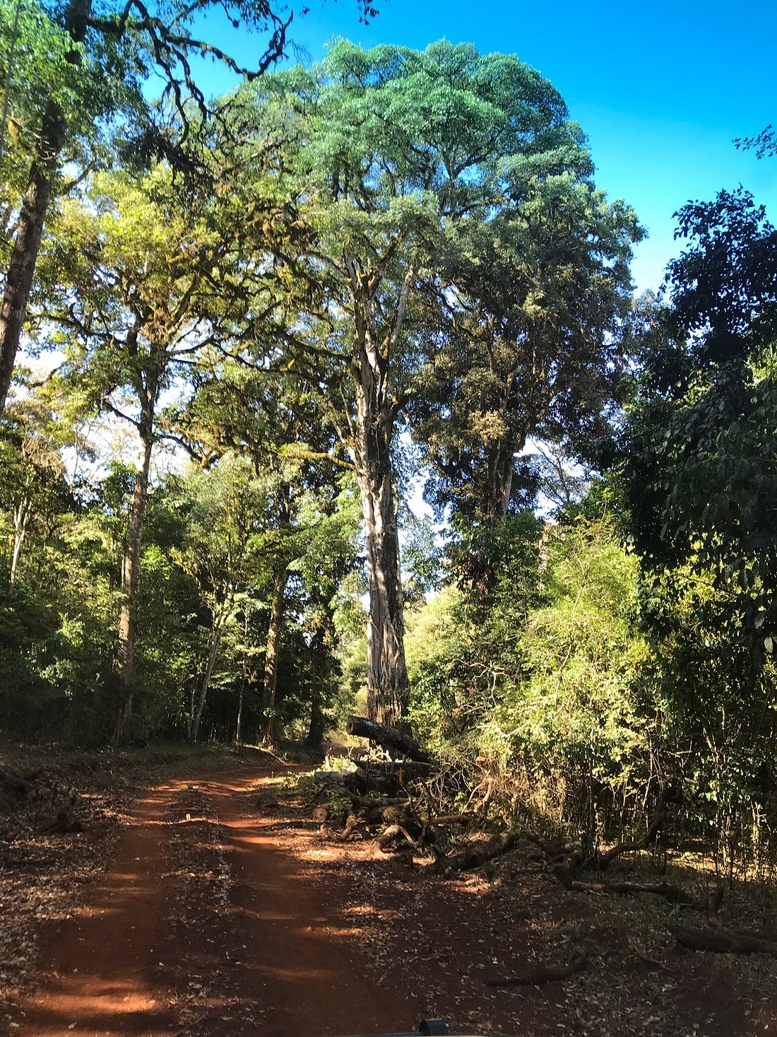 Marsabit National Park image 6