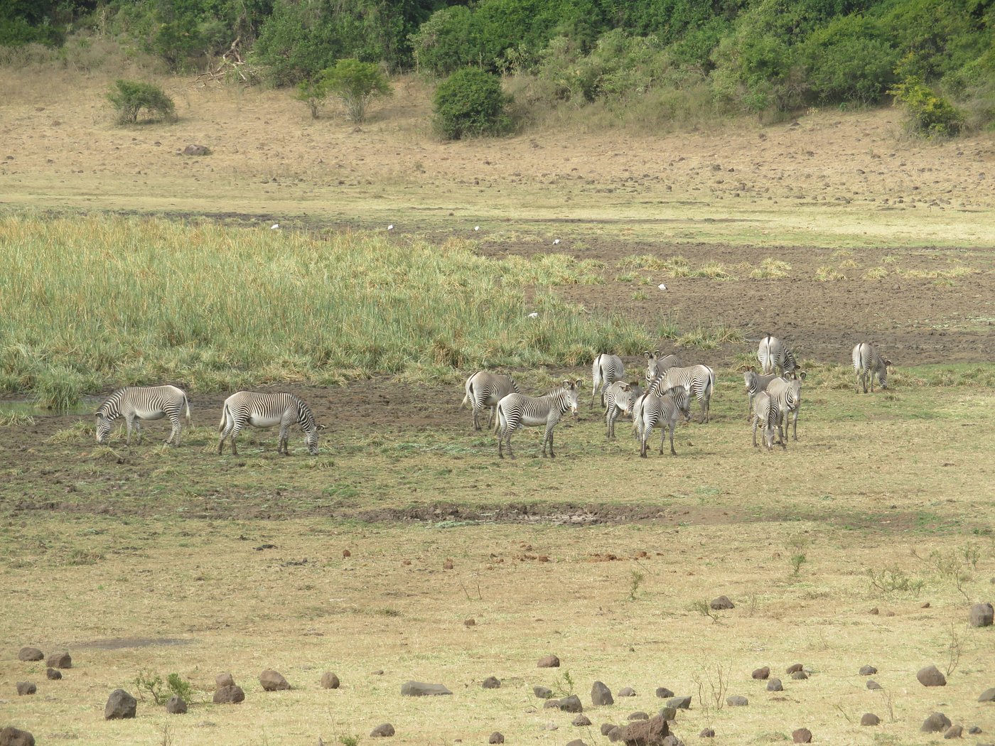 Marsabit National Park image 5