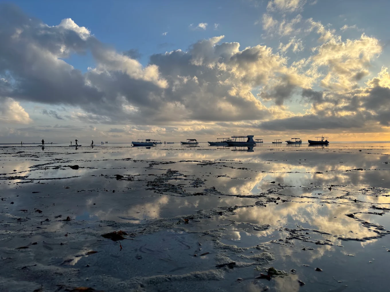 Mombasa Marine National Park image 4