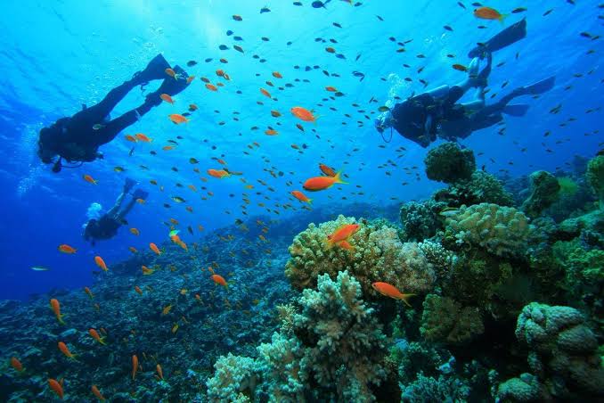 Mombasa Marine National Park