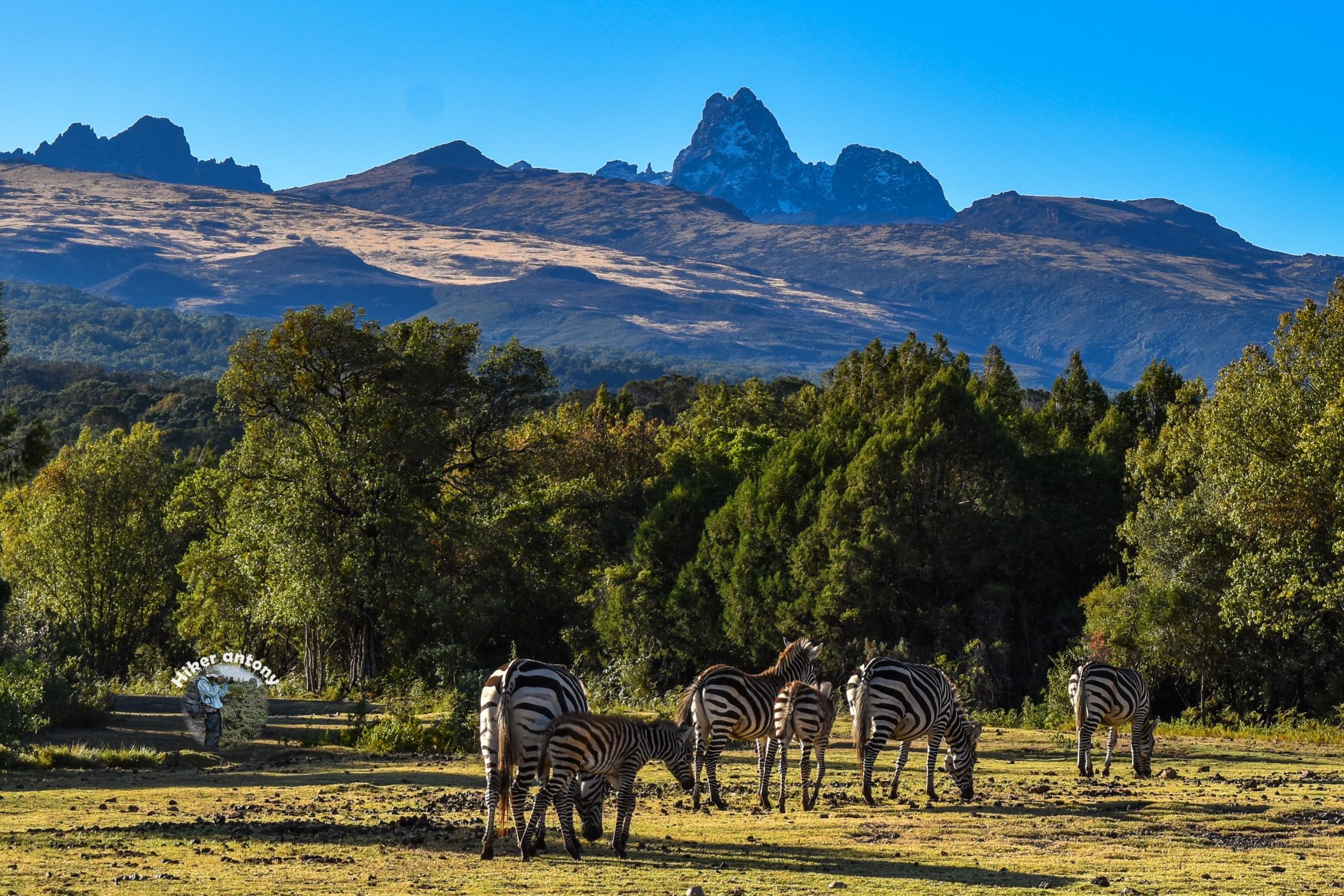 Mt. Kenya National Park image 2