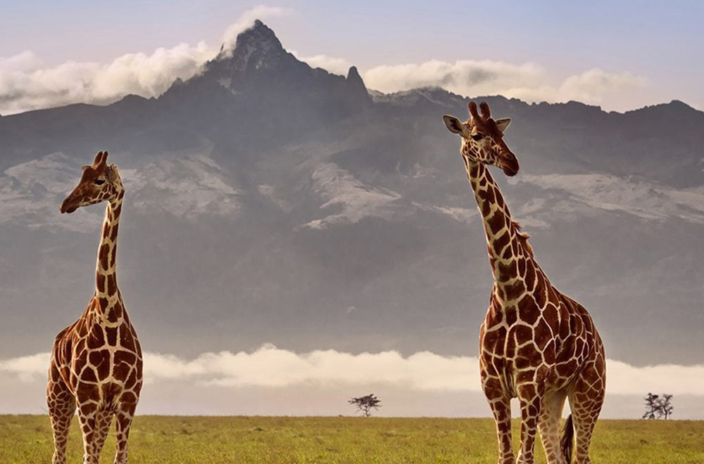 Mt. Kenya National Park image 5