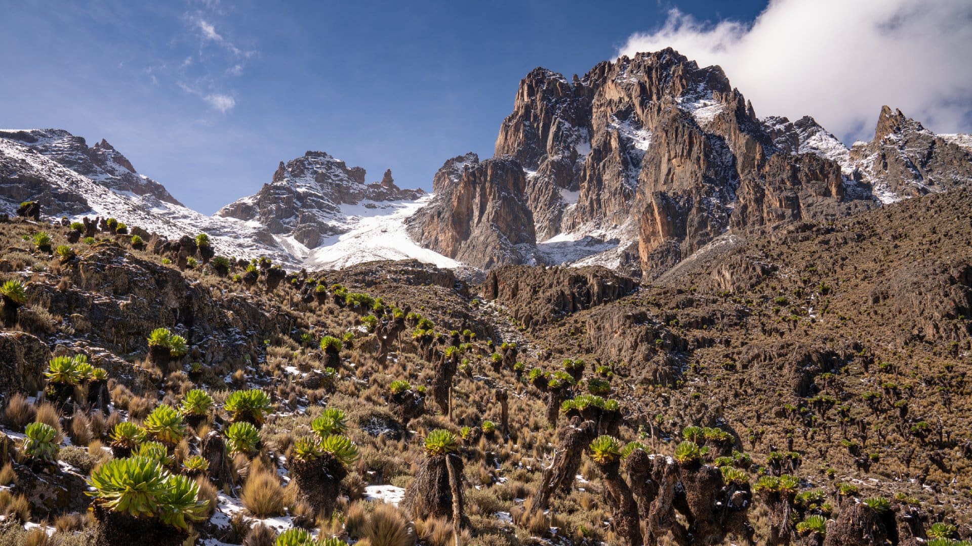 Mt. Kenya National Park image 3