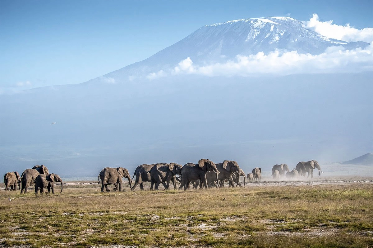 Mt. Kenya National Park image 4