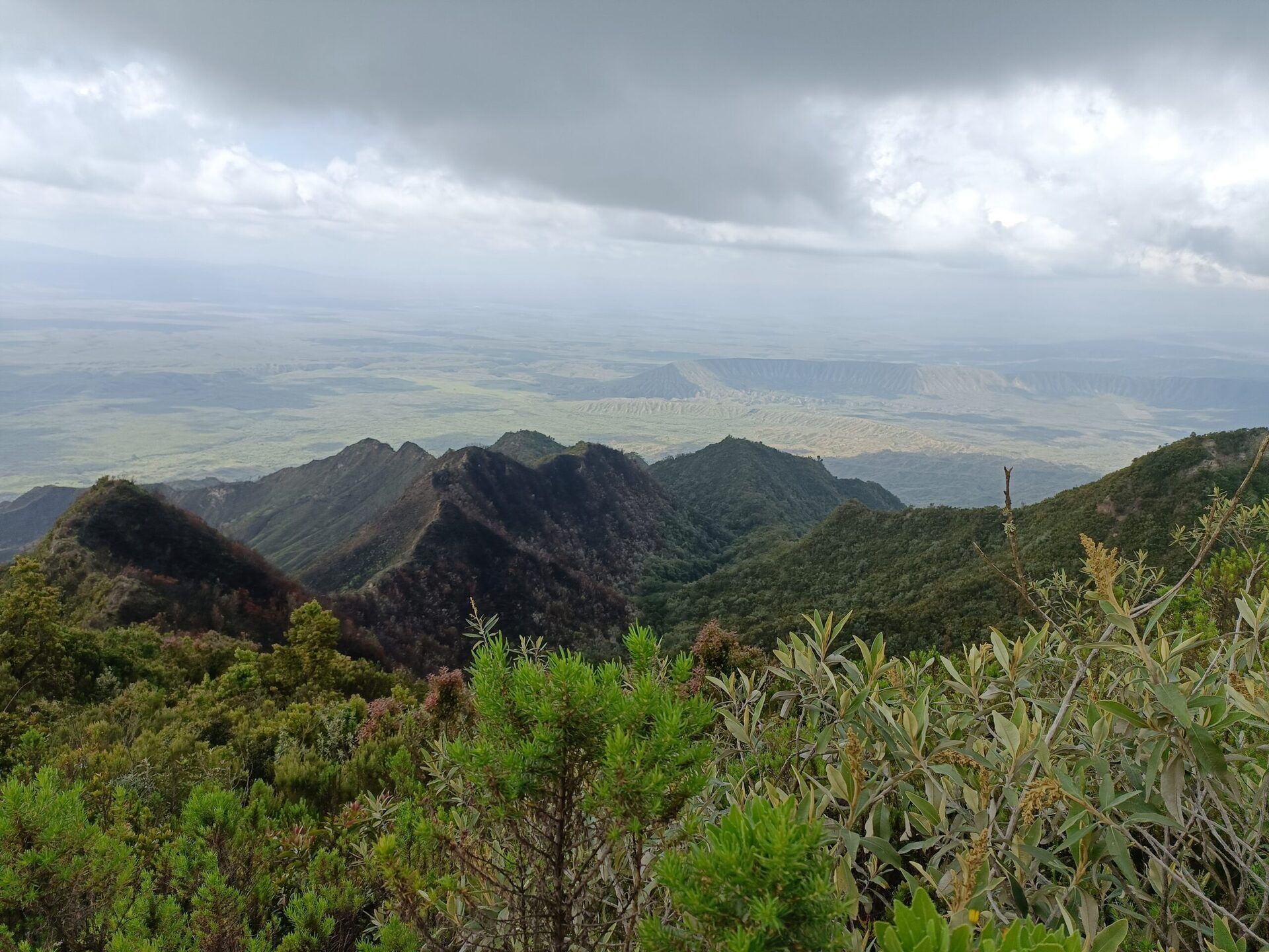 Mt. Longonot National Park image 4