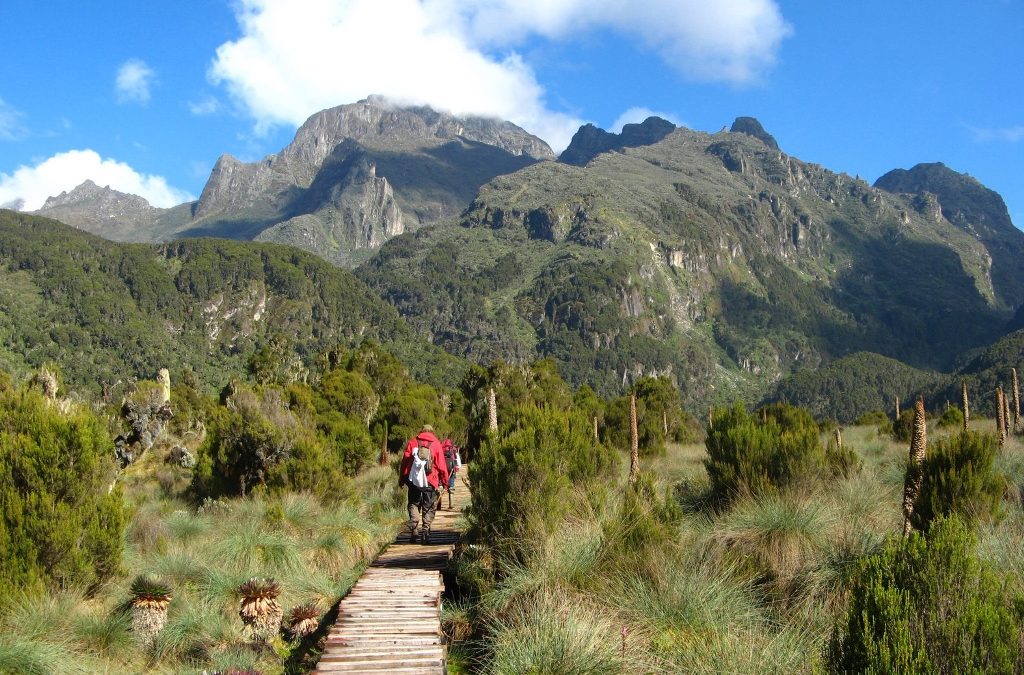 Mt Elgon National Park image 3