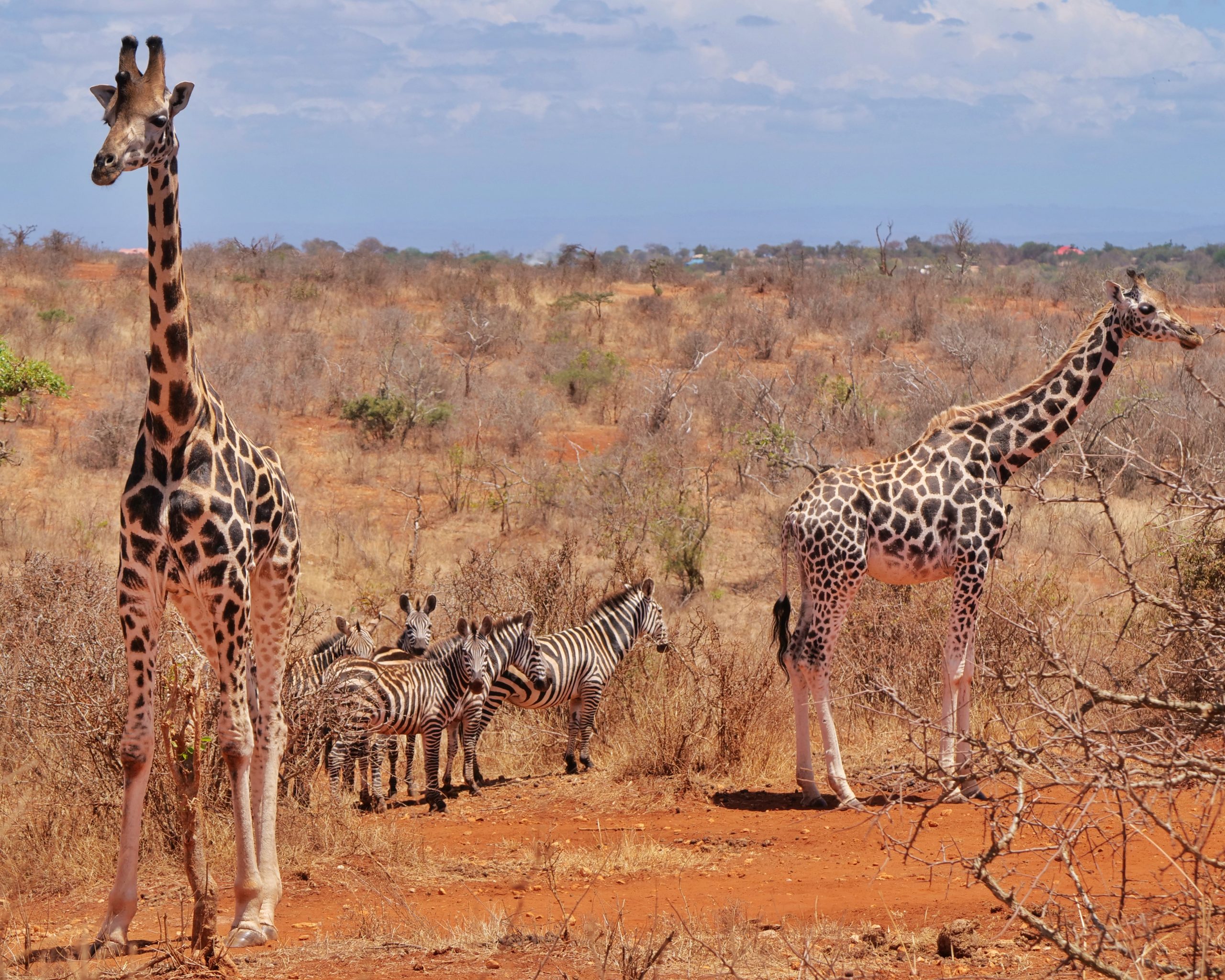 Mwea National Reserve image 3