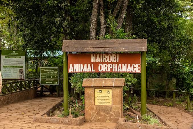 Nairobi Animal Orphanage image 2