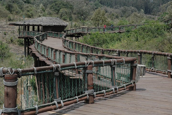 Nairobi Safari Walk image 2