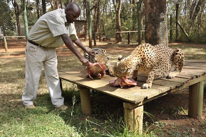 Nairobi Safari Walk image 4