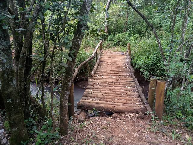 Ngong Forest image 4