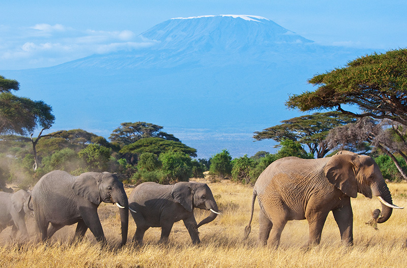 Oldonyo Sabuk National Park image 2