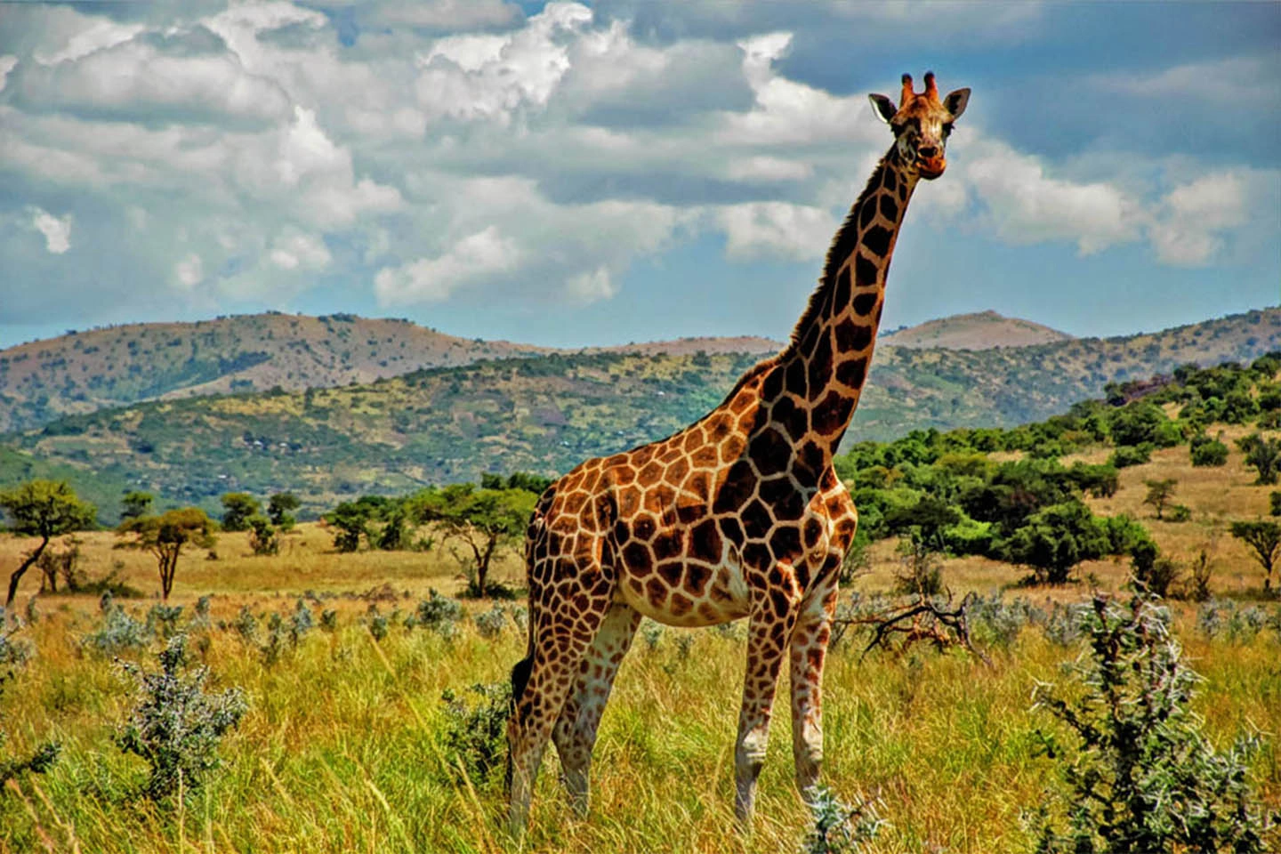 Ruma National Park image 3