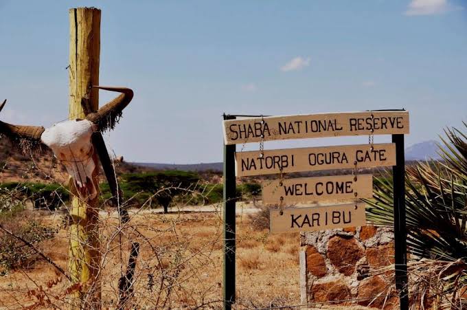 Shaba National Reserve image 4