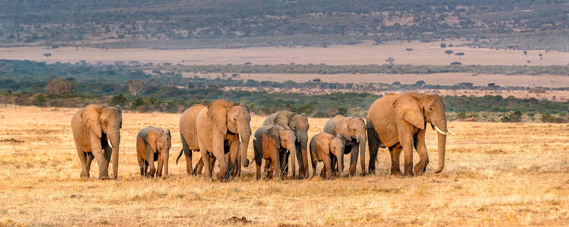 Shimba Hills National Reserve