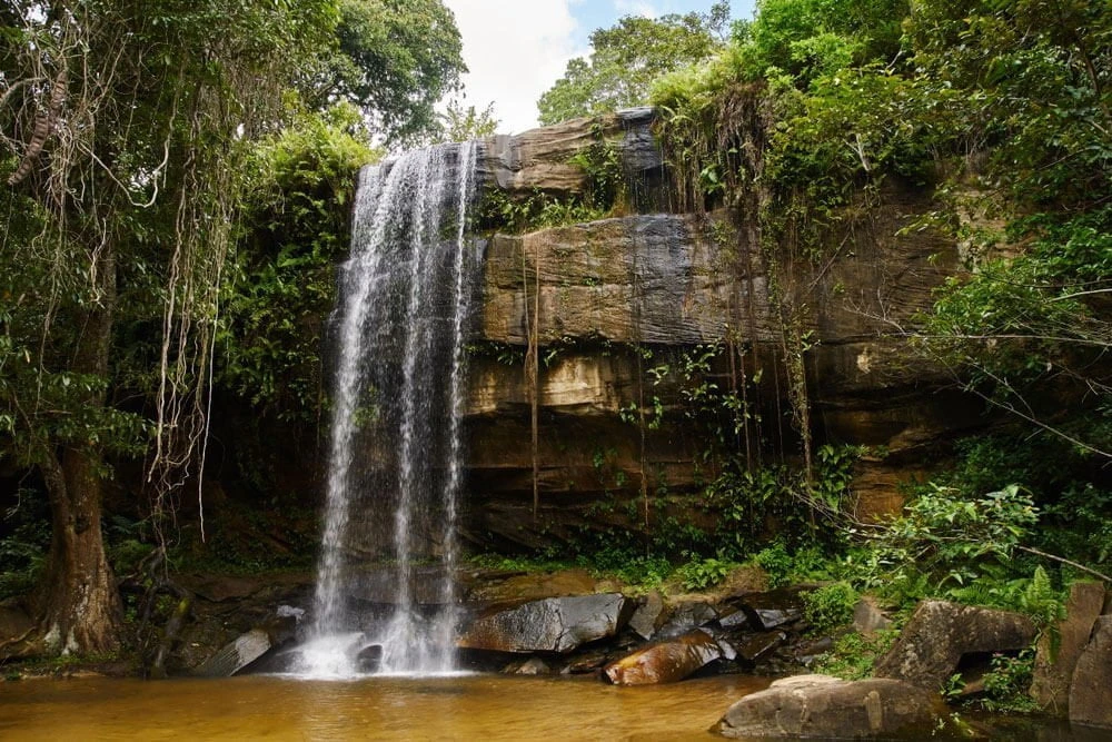 Shimba Hills National Reserve image 4
