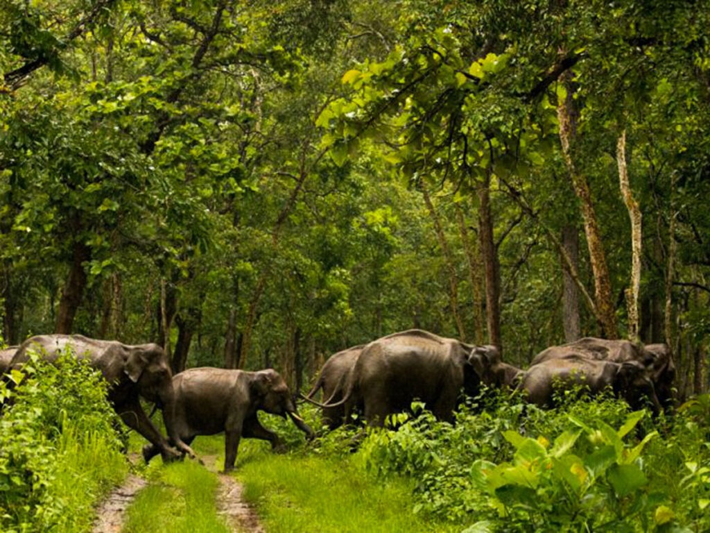 Shimba Hills National Reserve image 5
