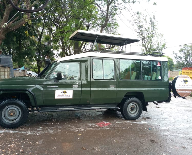 Safari transfer car