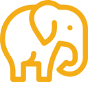 Big 5 & Wildlife