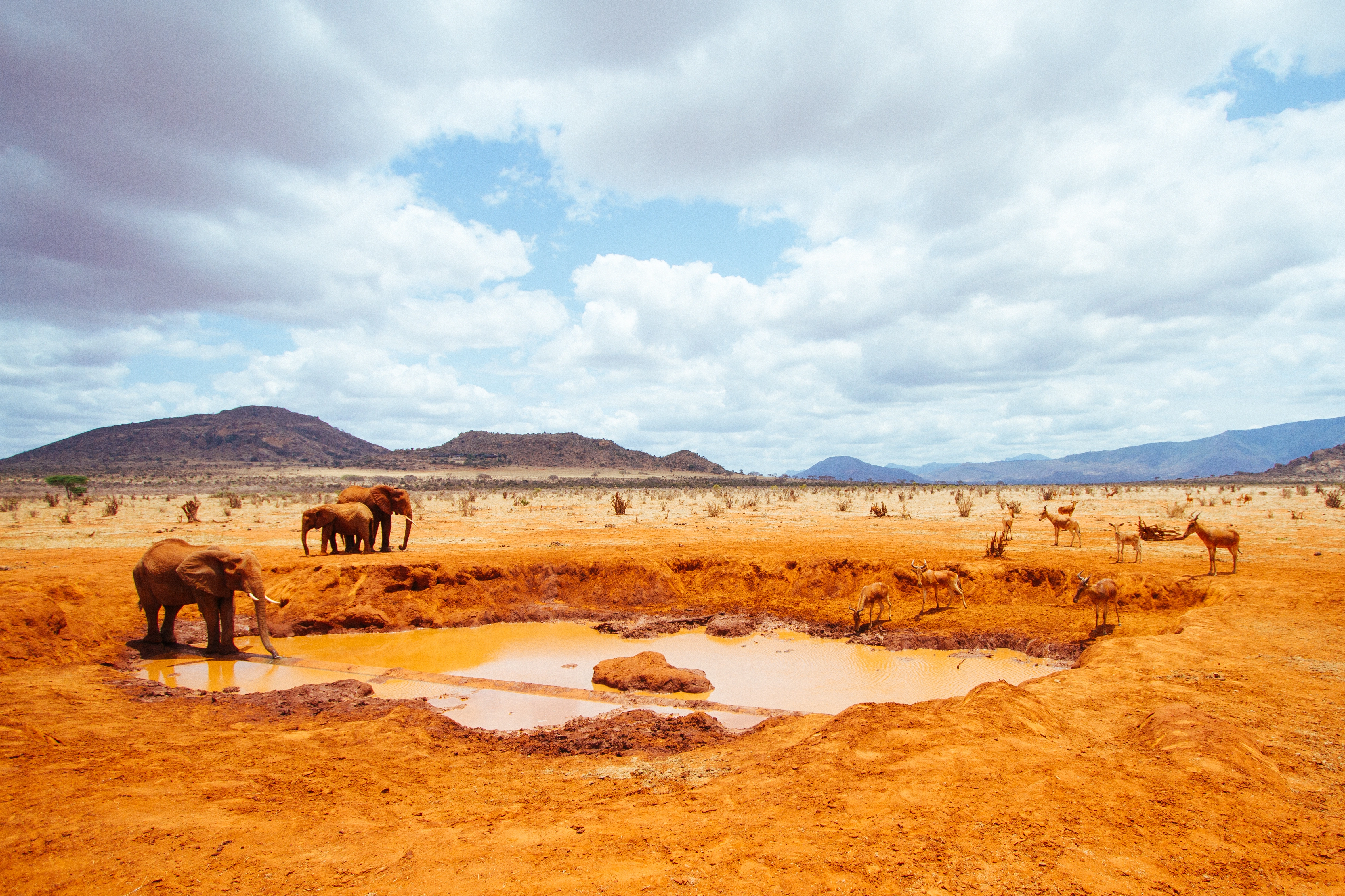 Tsavo West National Park image 5