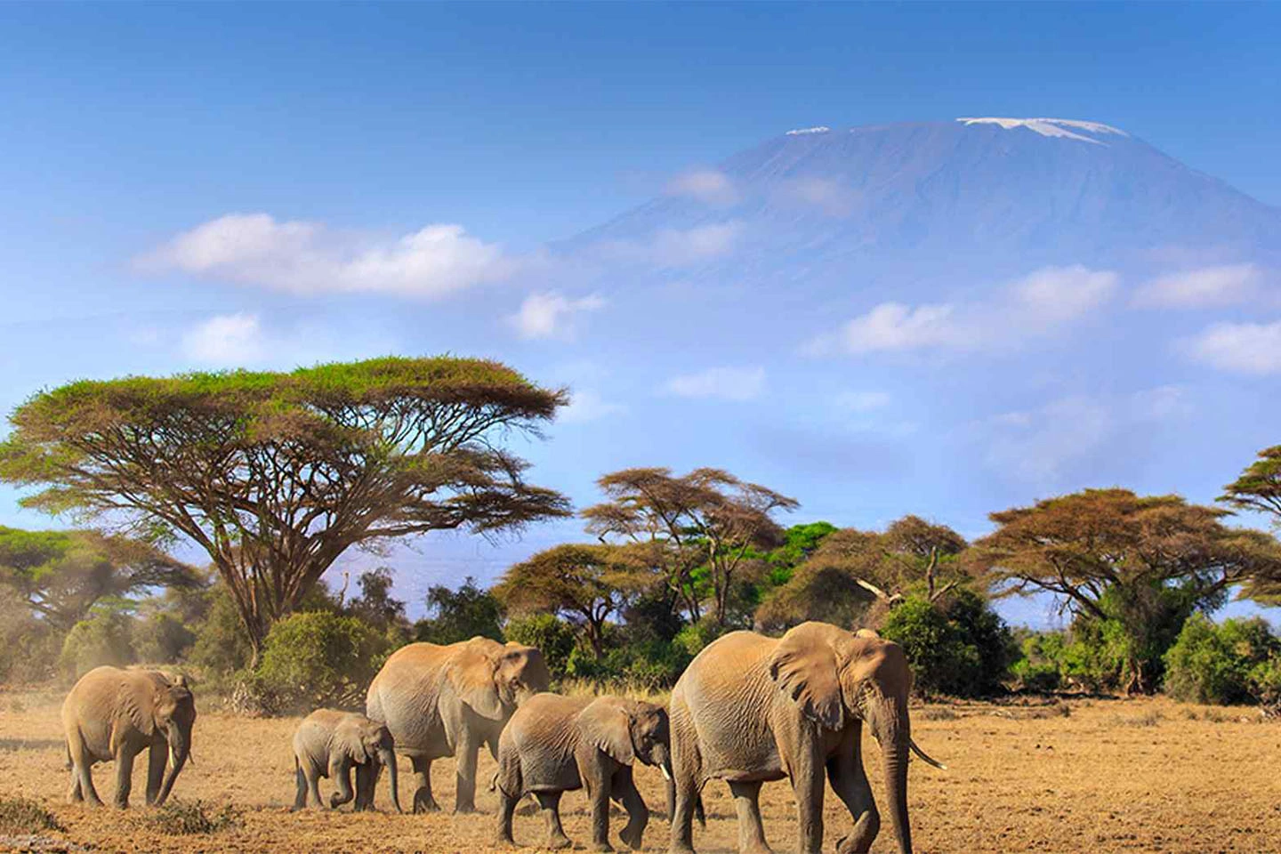 Amboseli National Park image 3