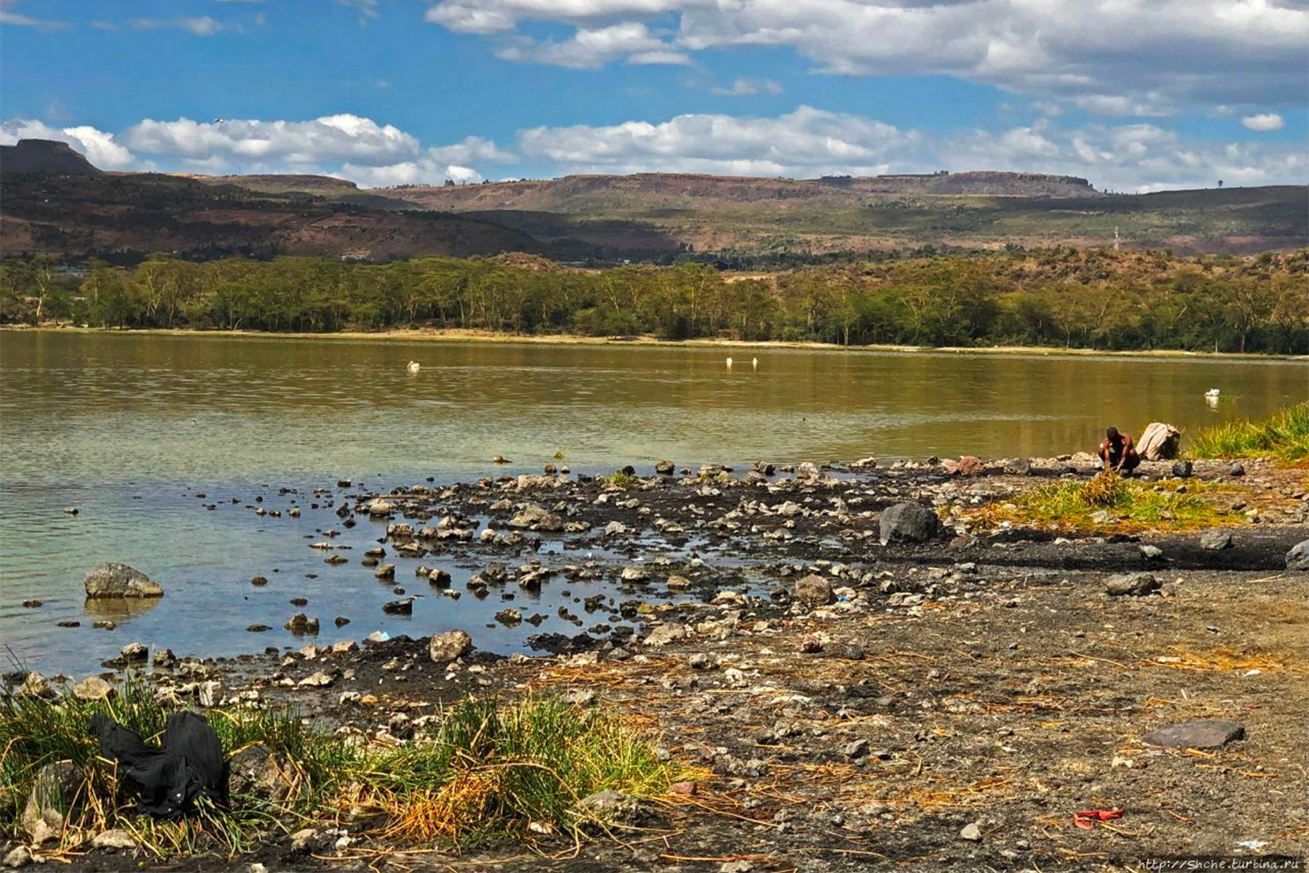 Lake Elementaita Wildlife Sanctuary image 7