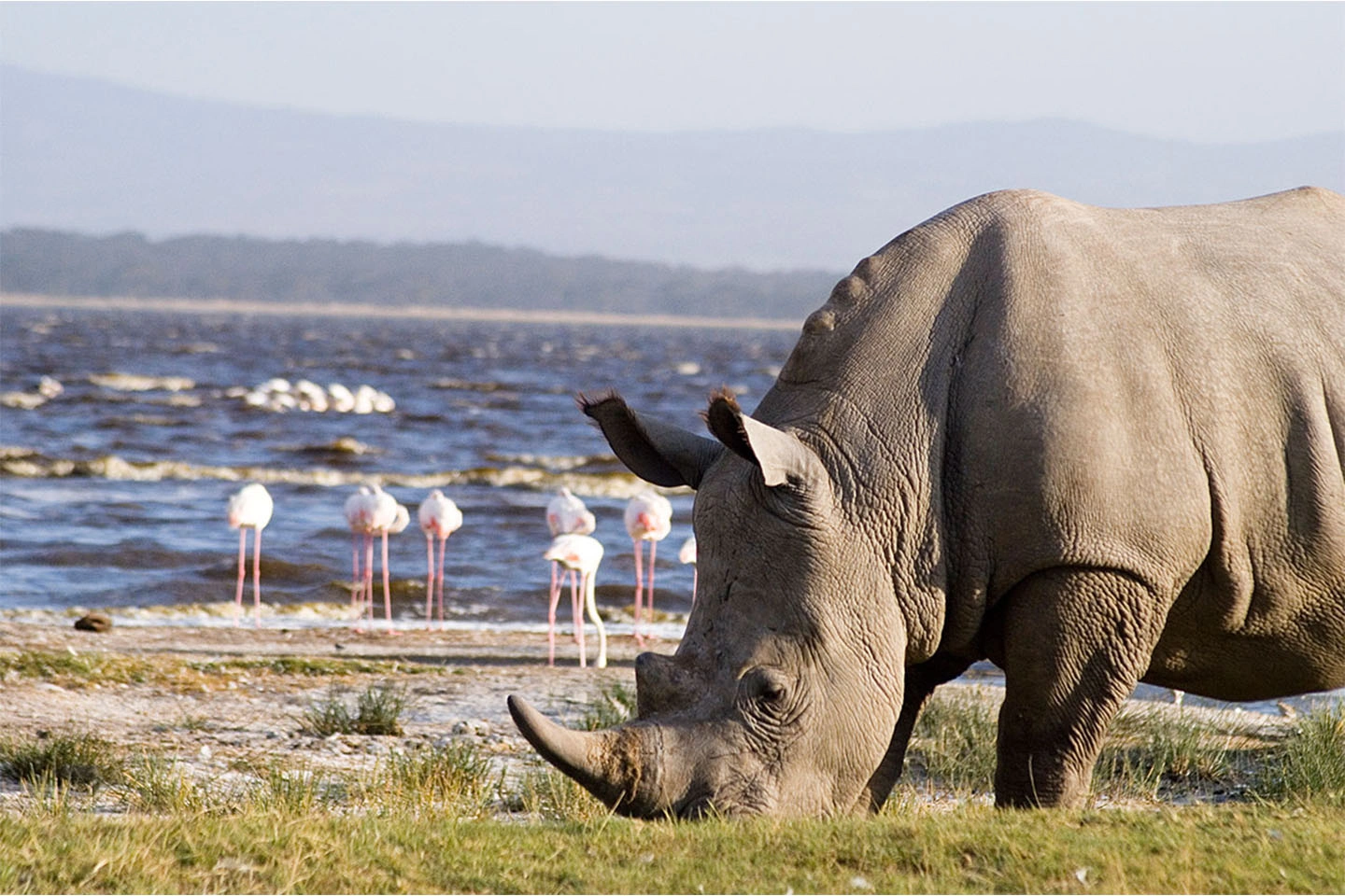 Lake Nakuru National Park image 3