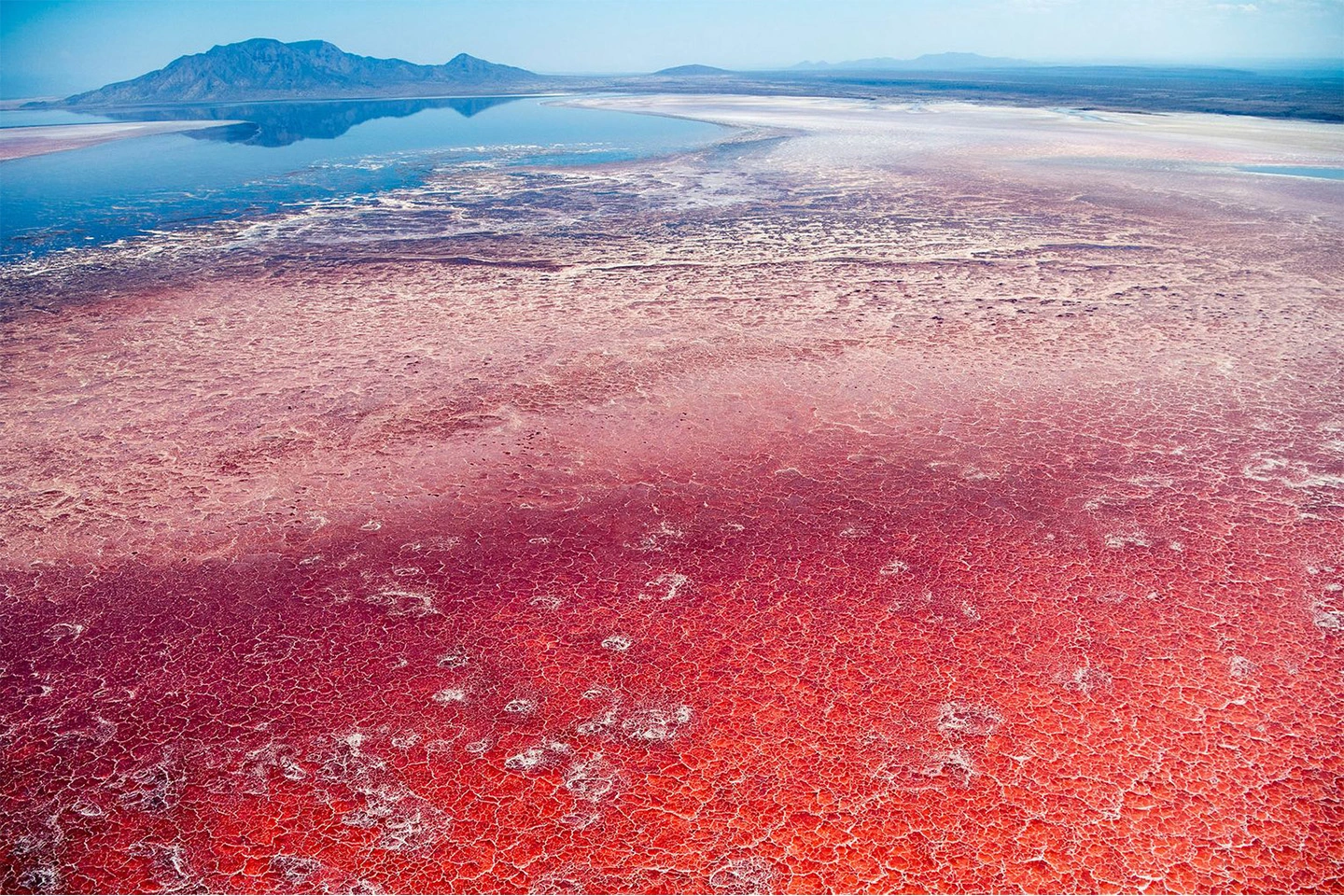 Lake Natron image 6
