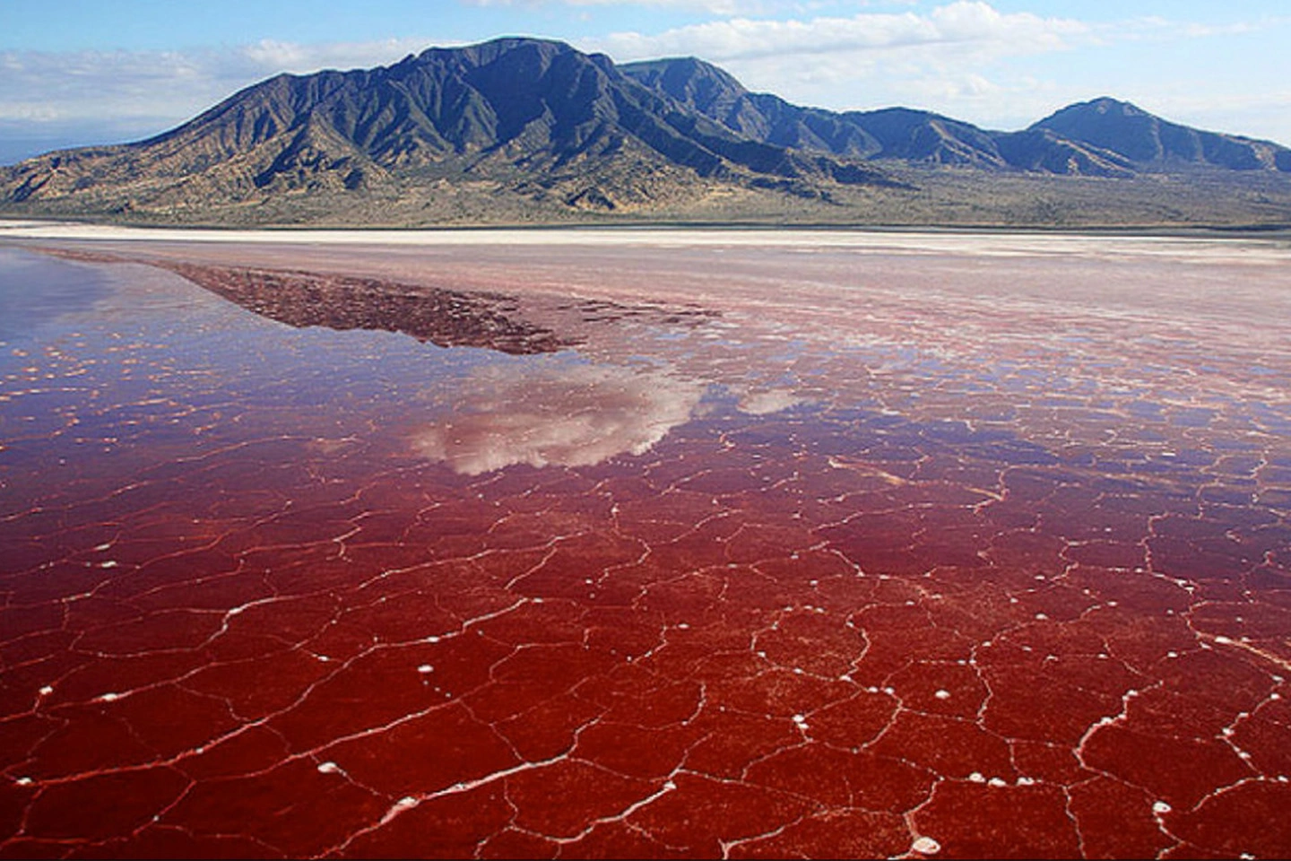 Lake Natron image 5