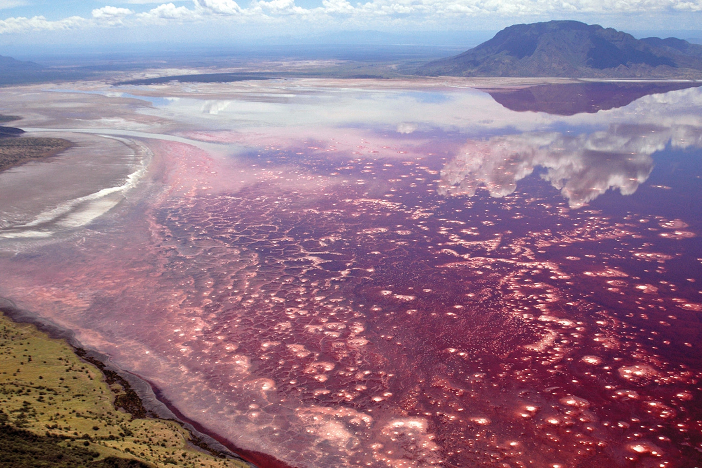 Lake Natron image 4