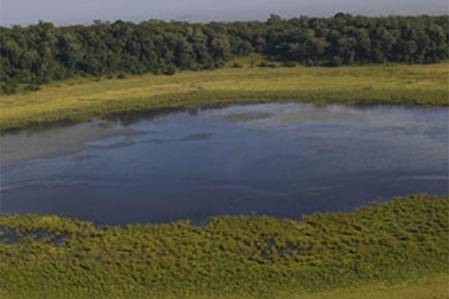 Marsabit National Park image 3
