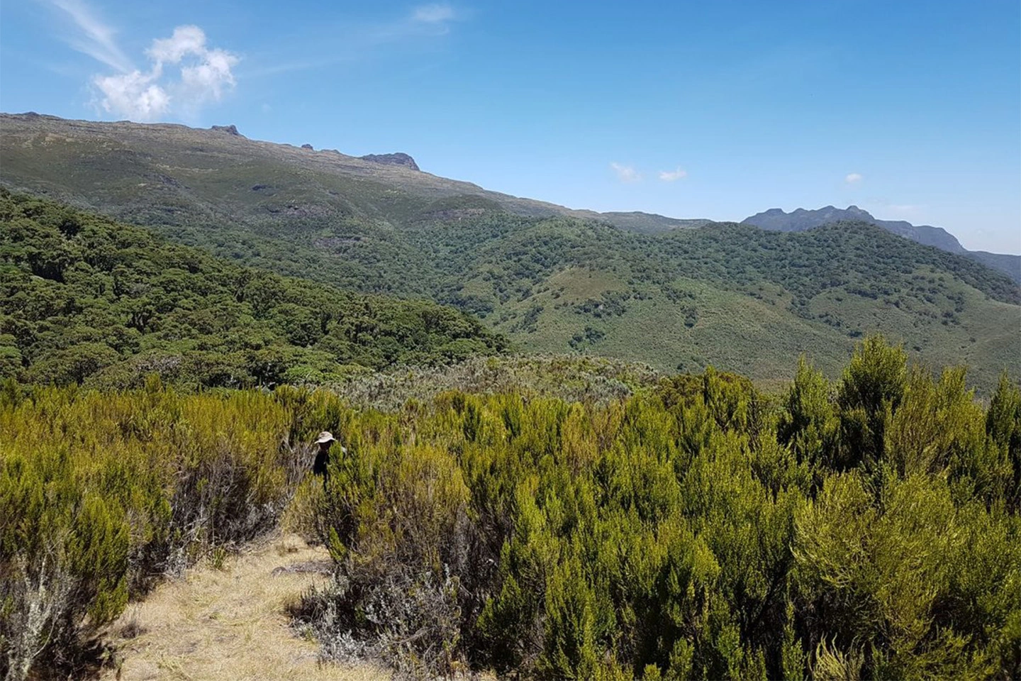 Mt. Kenya National Park image 2