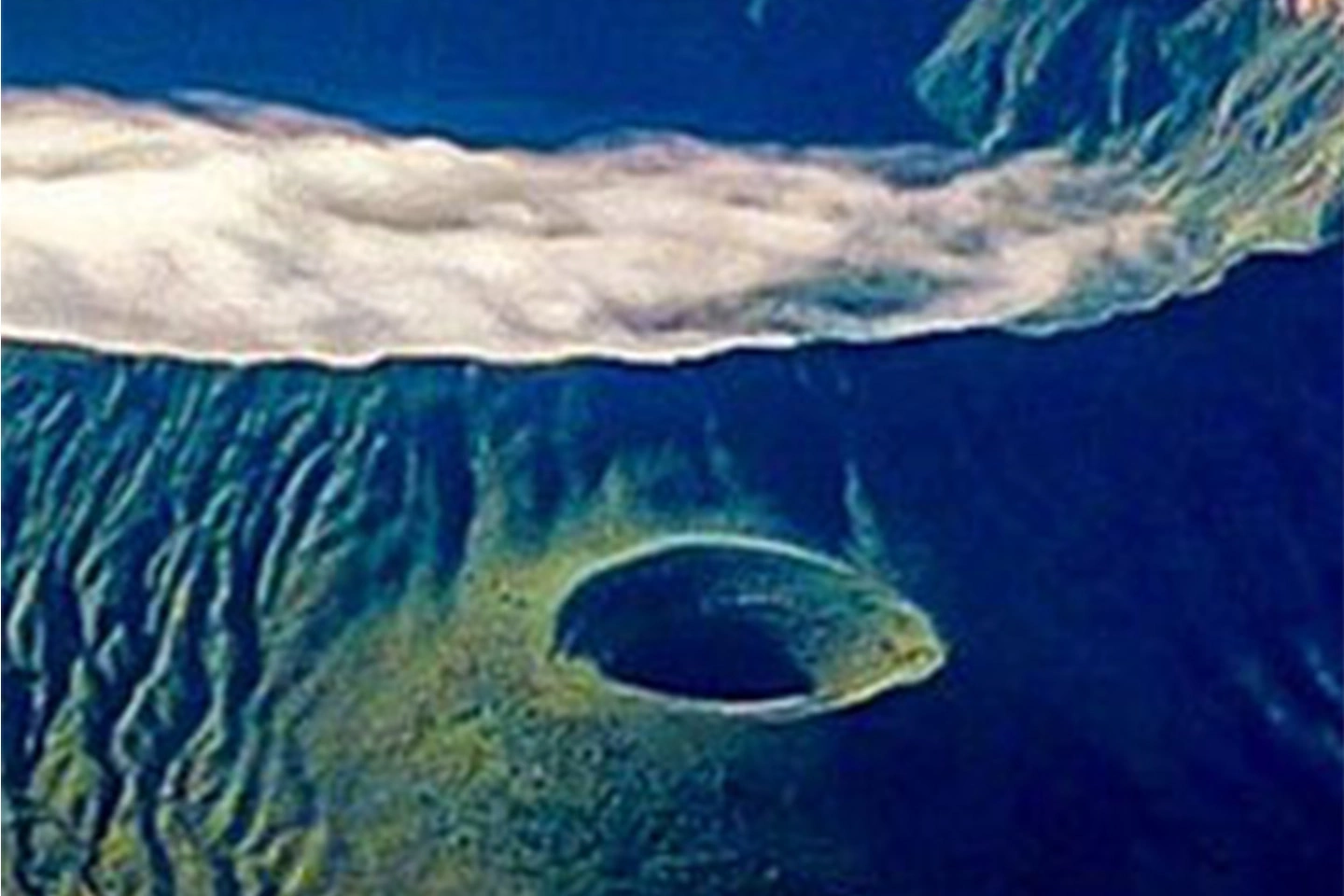 Mt. Kenya National Park image 4