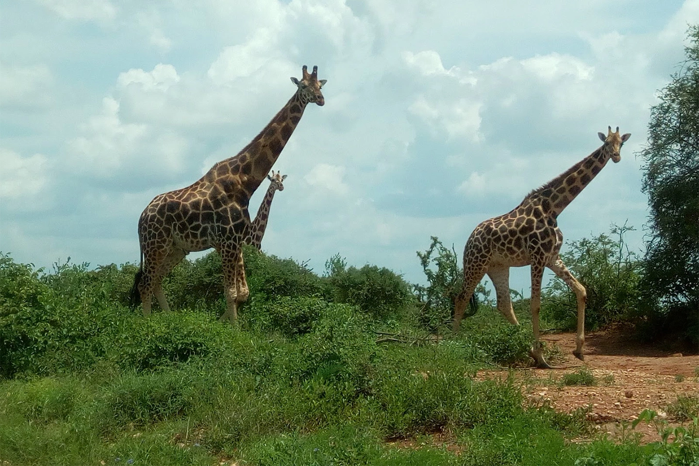 Mwea National Park image 2