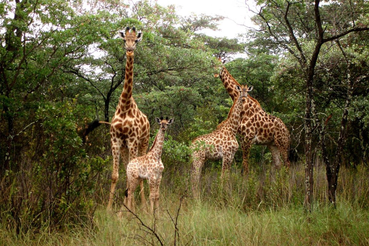 Mwea National Park image 3