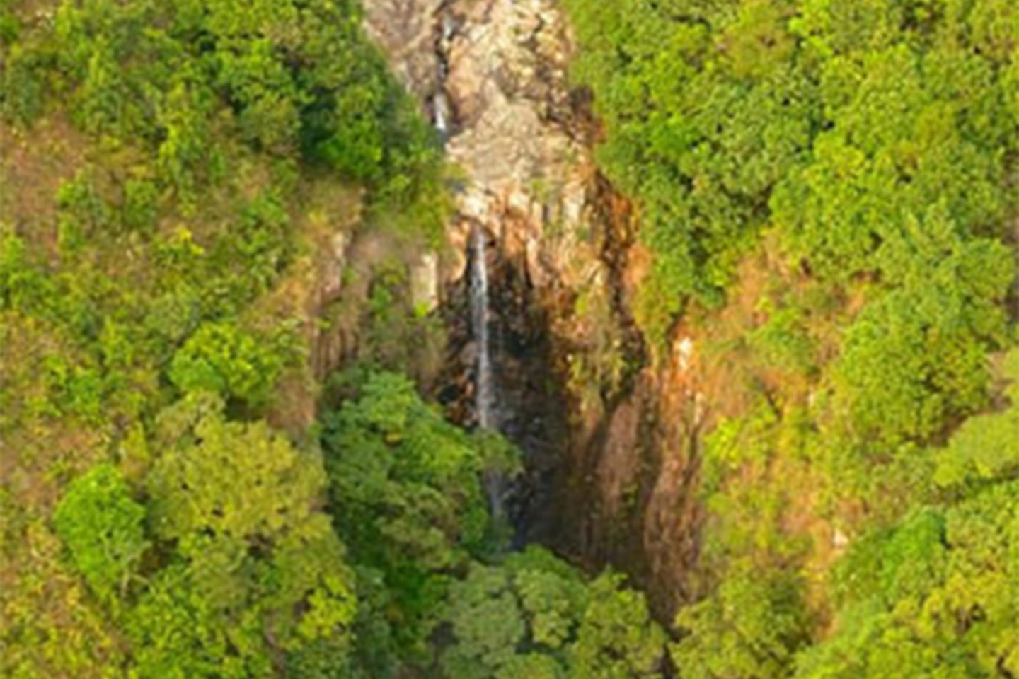 Ngong Forest image 3