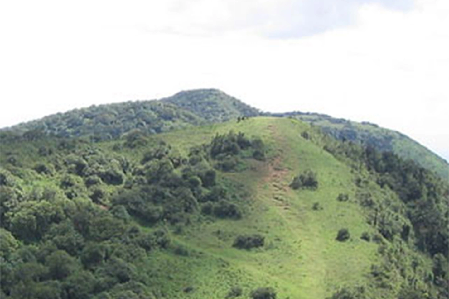 Ngong Forest image 2