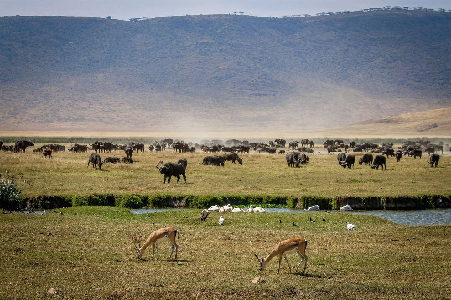 Ngorongoro Crater image 4