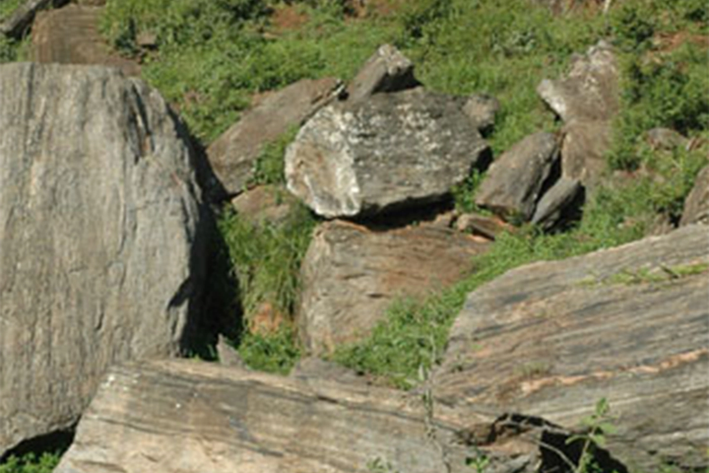 Oldonyo Sabuk National Park image 3