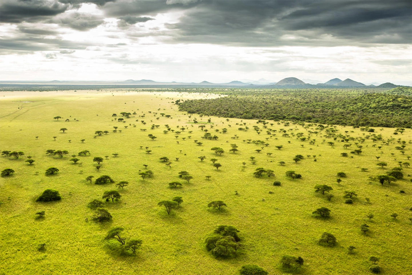 Oldonyo Sabuk National Park image 5