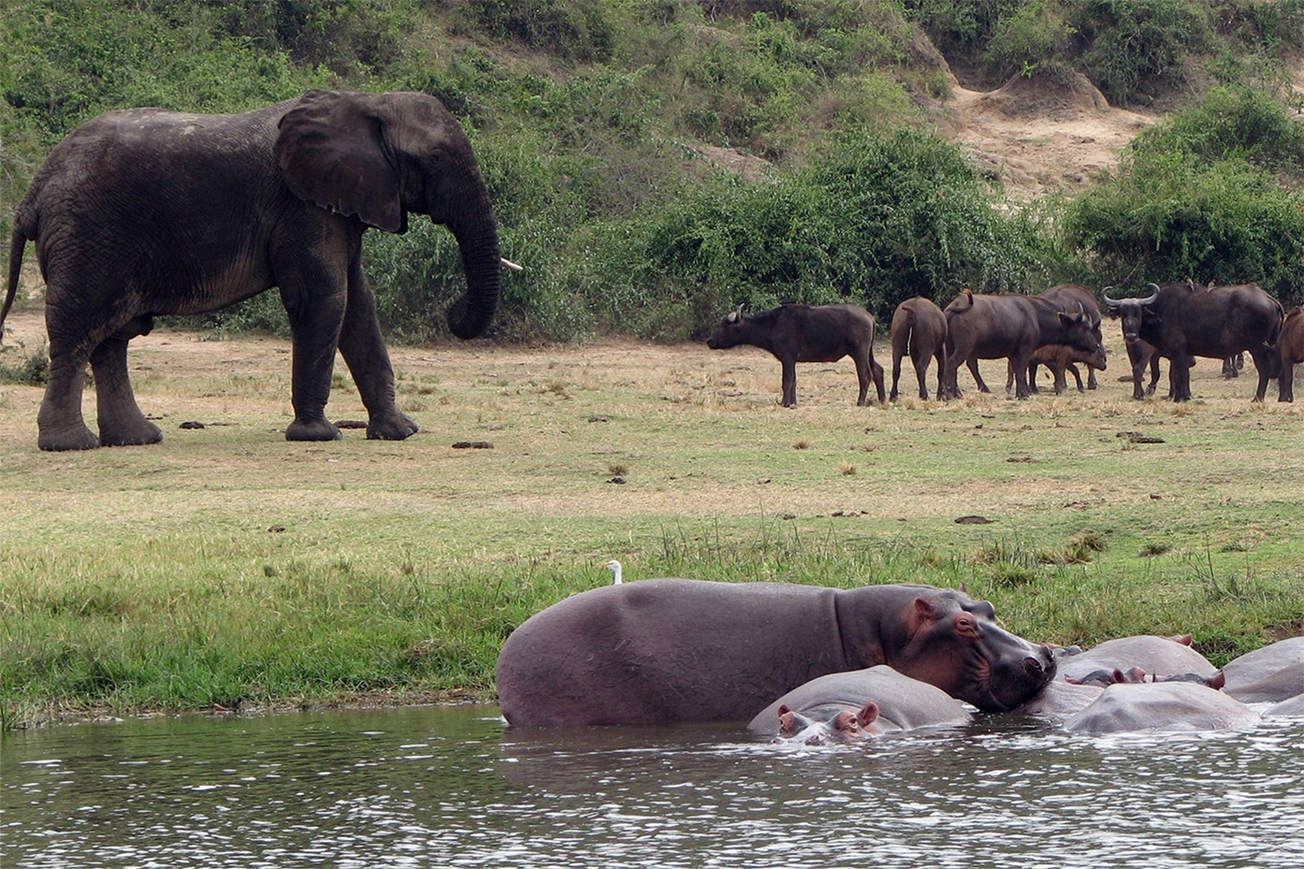 Queen Elizabeth National Park image 2
