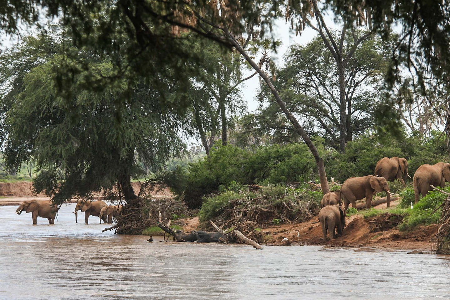 Shaba Game Reserve image 5