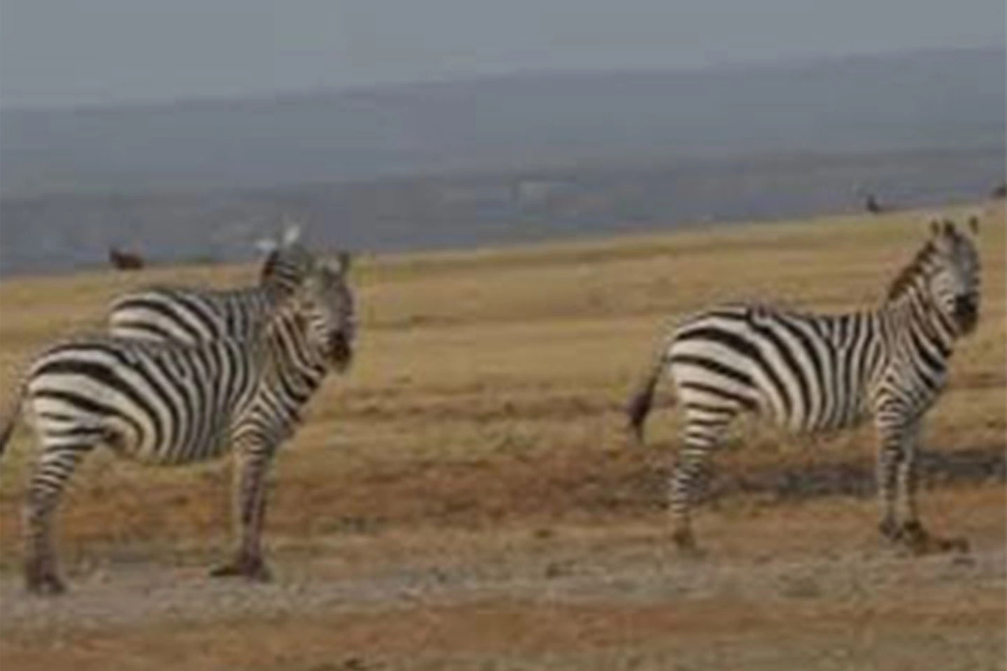 Sibiloi National Park image 2