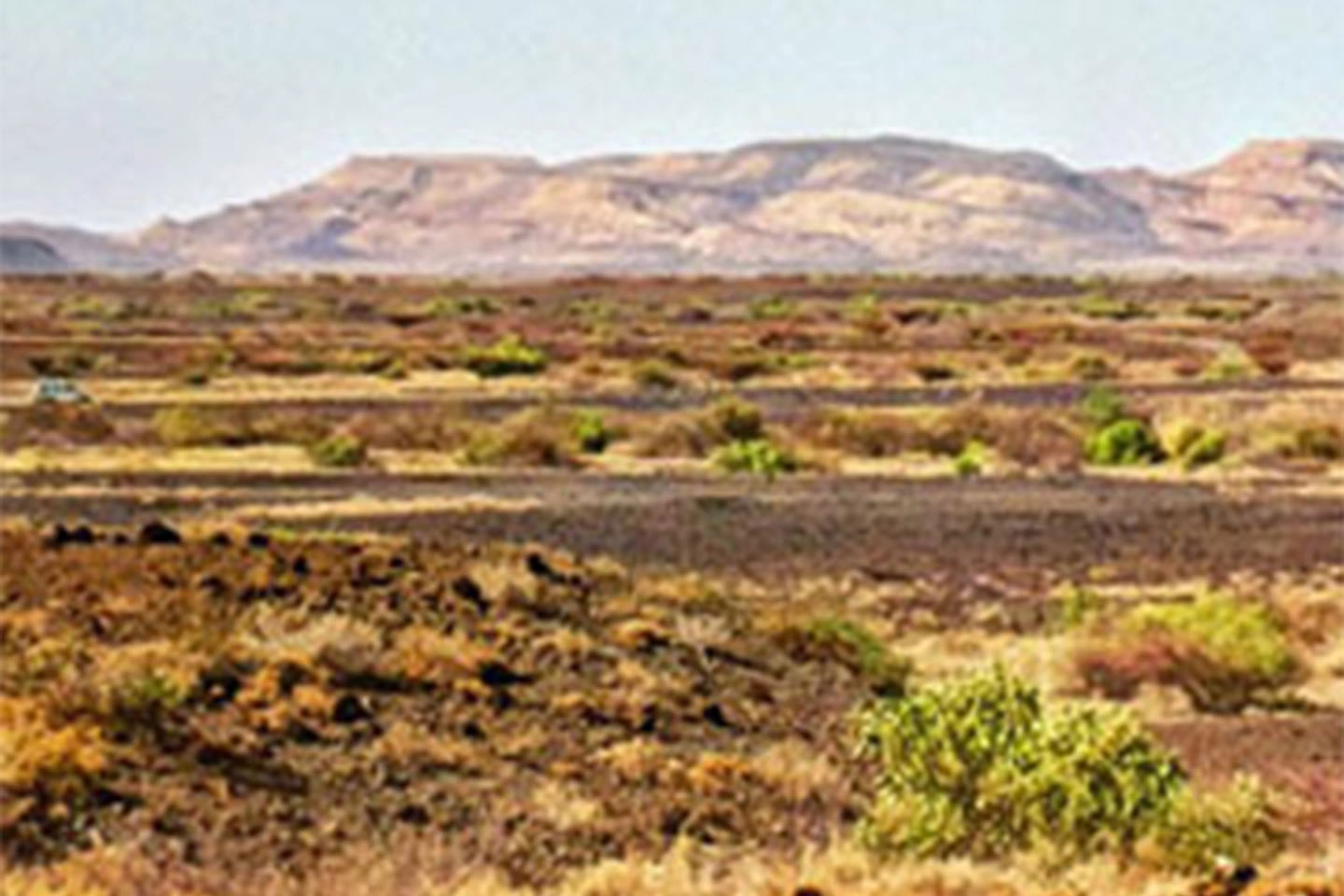 Sibiloi National Park image 3