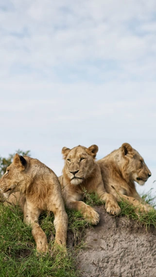 Simba Hills National Reserve image 5