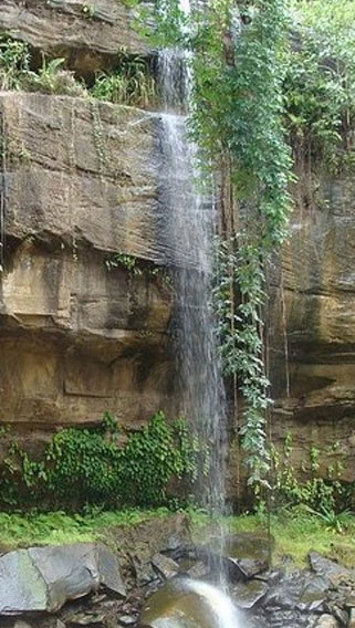 Simba Hills National Reserve image 6